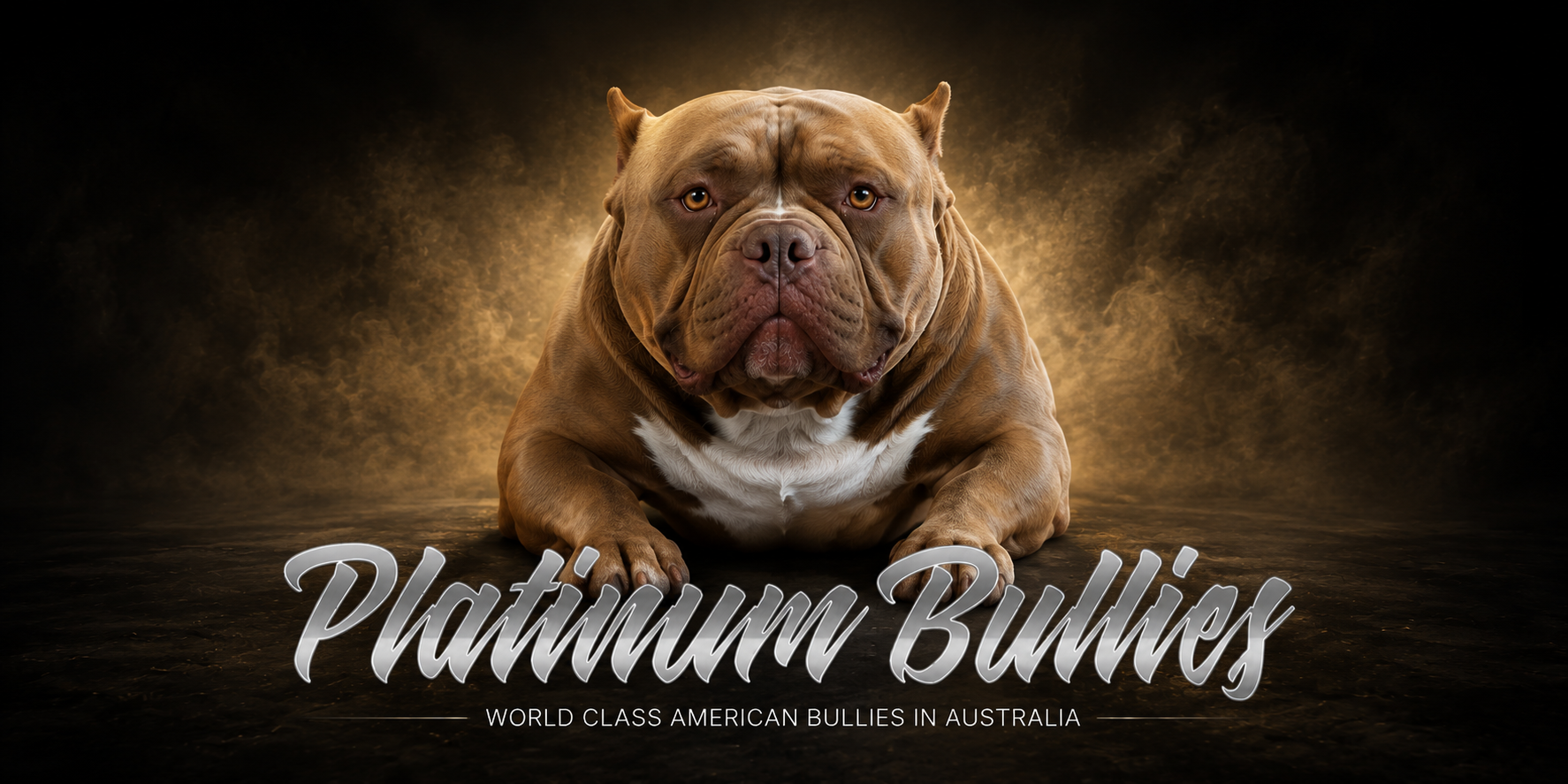 Platinum Bullies